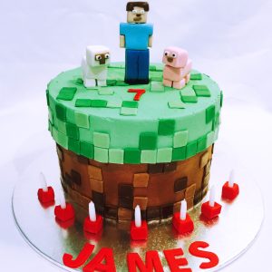 Minecraft cake by Giuliana's Cakes